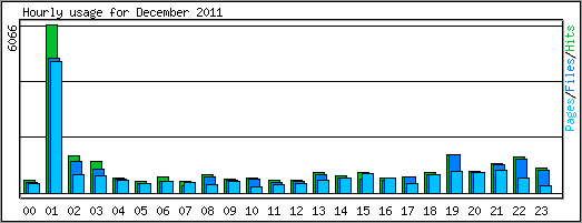 Hourly usage