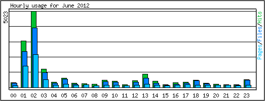 Hourly usage