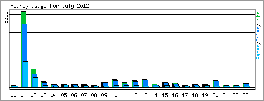 Hourly usage