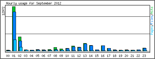 Hourly usage