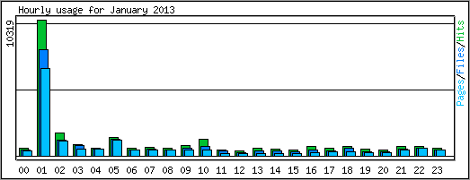 Hourly usage