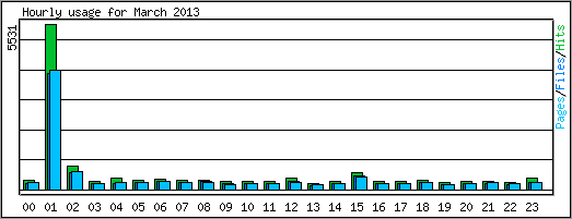Hourly usage
