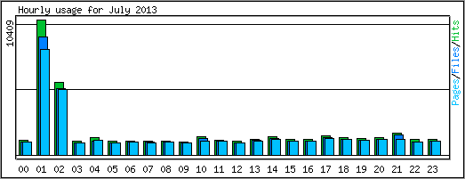 Hourly usage