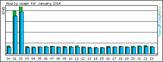 Hourly usage