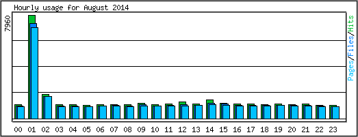 Hourly usage