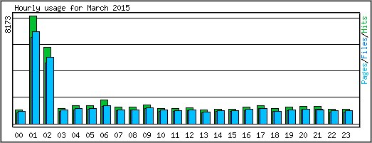 Hourly usage