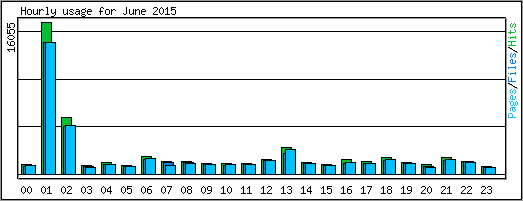 Hourly usage