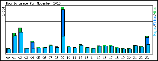 Hourly usage
