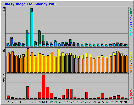 Daily usage for January 2013