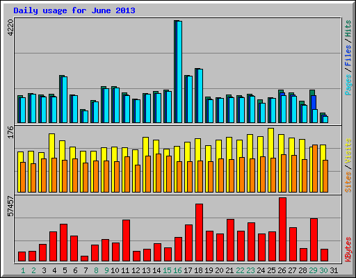 Daily usage for June 2013