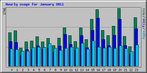 Hourly usage for January 2011