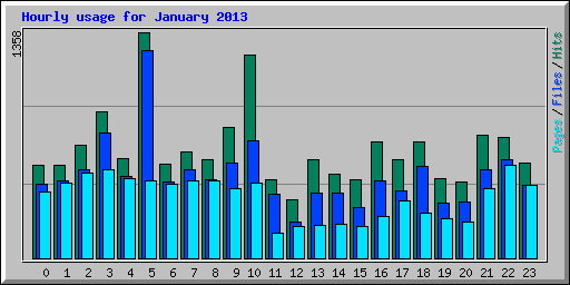Hourly usage for January 2013