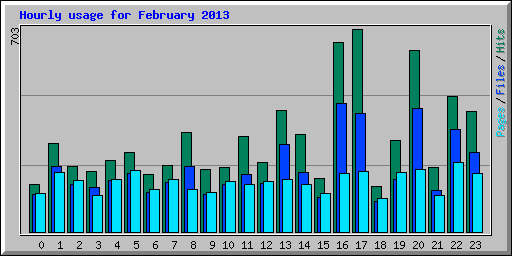 Hourly usage for February 2013