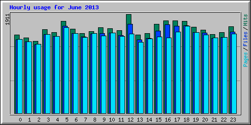 Hourly usage for June 2013