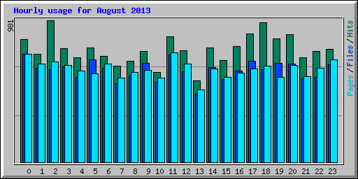 Hourly usage for August 2013