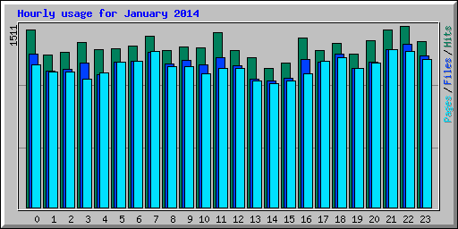 Hourly usage for January 2014