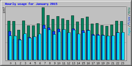 Hourly usage for January 2015
