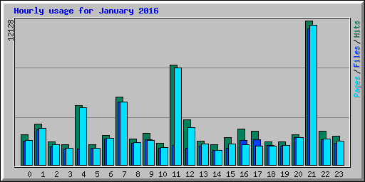 Hourly usage for January 2016