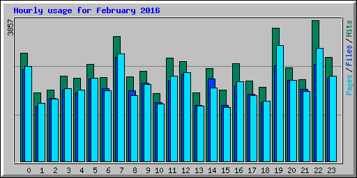 Hourly usage for February 2016