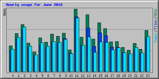 Hourly usage for June 2016