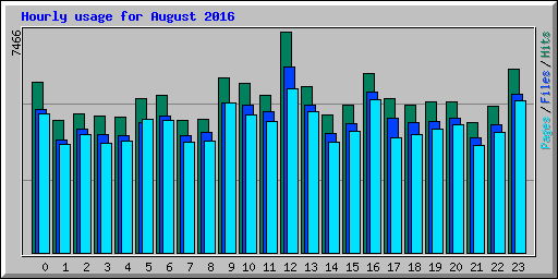 Hourly usage for August 2016