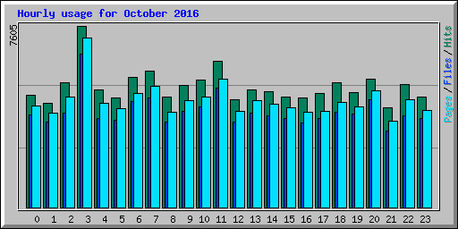 Hourly usage for October 2016