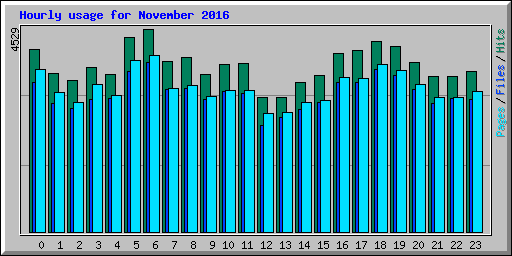 Hourly usage for November 2016