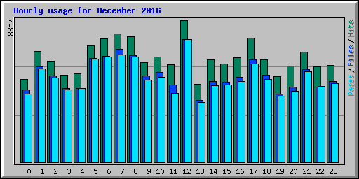 Hourly usage for December 2016