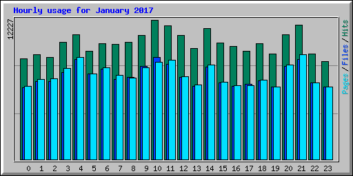 Hourly usage for January 2017