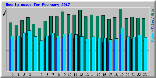 Hourly usage for February 2017