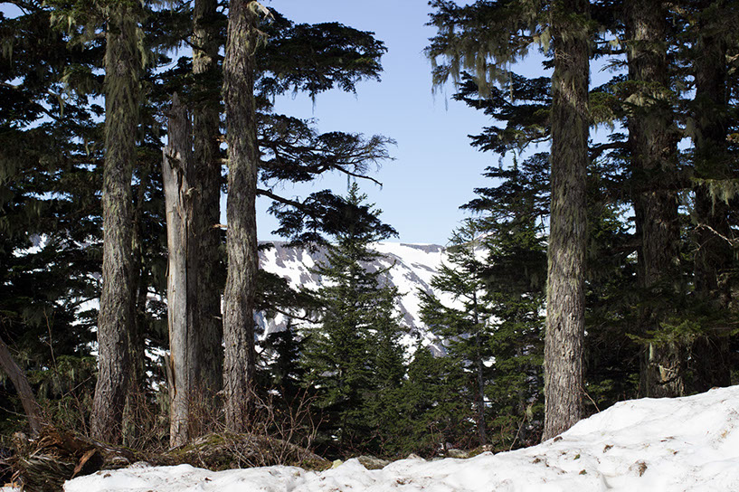 juneau5a