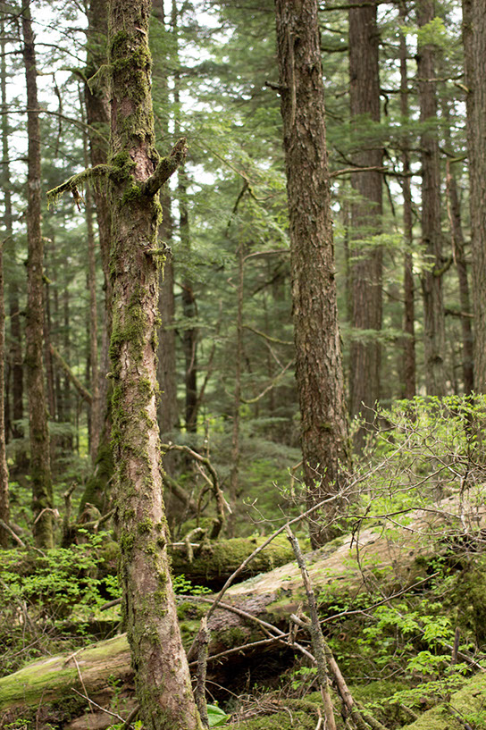 juneau3a