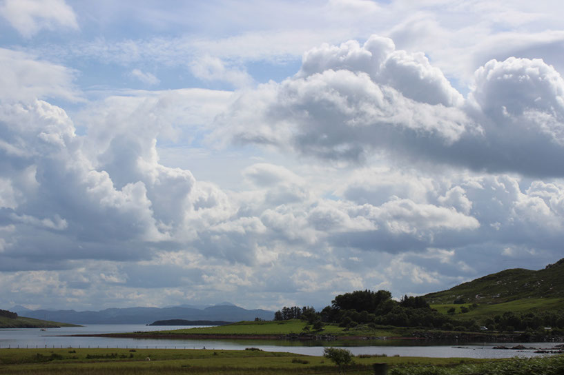ochness1