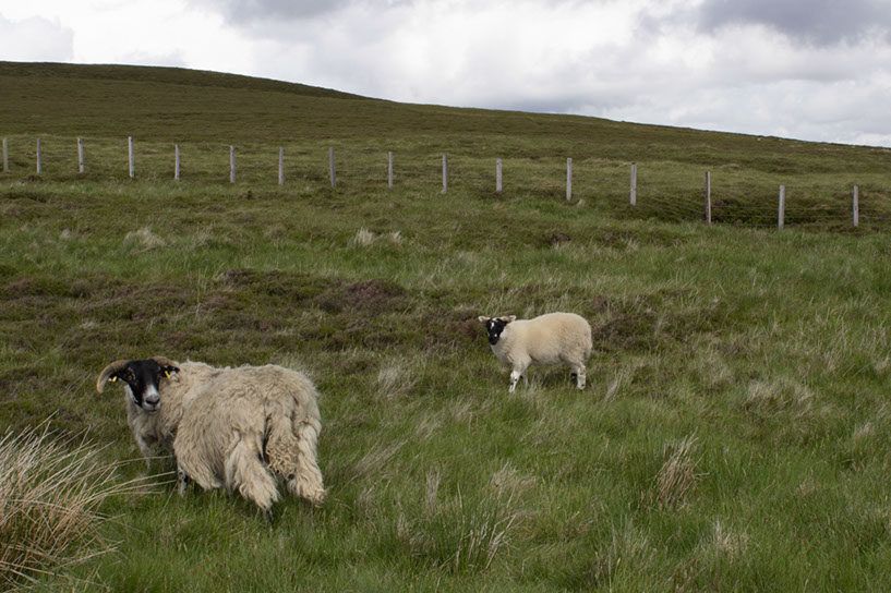 obalmoral3