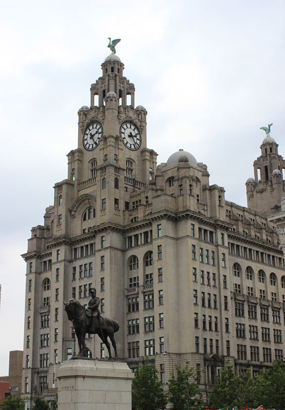 iverpoolbird